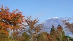 Asagiri Plateau：朝霧高原